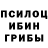 Псилоцибиновые грибы MAGIC MUSHROOMS VIKTER N