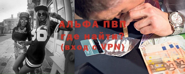 дживик Баксан