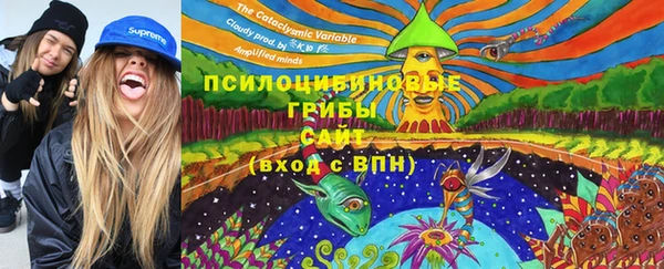 дживик Баксан