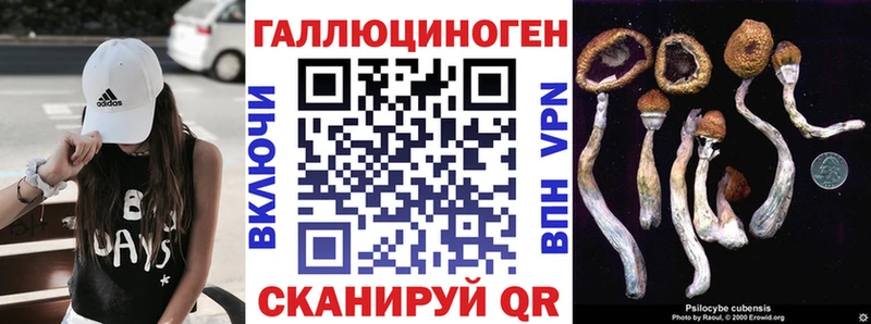 как найти закладки  shop Telegram  Галлюциногенные грибы GOLDEN TEACHER  Пересвет 